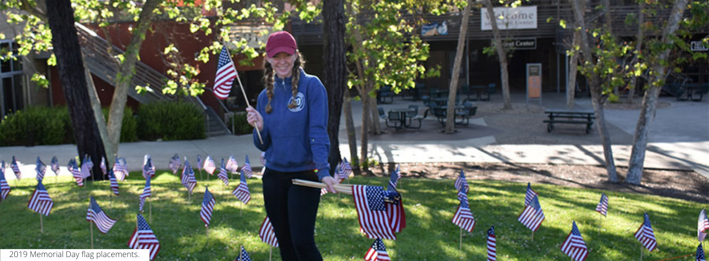 Planting flags at Memorial Day remembrance event, UC San Diego